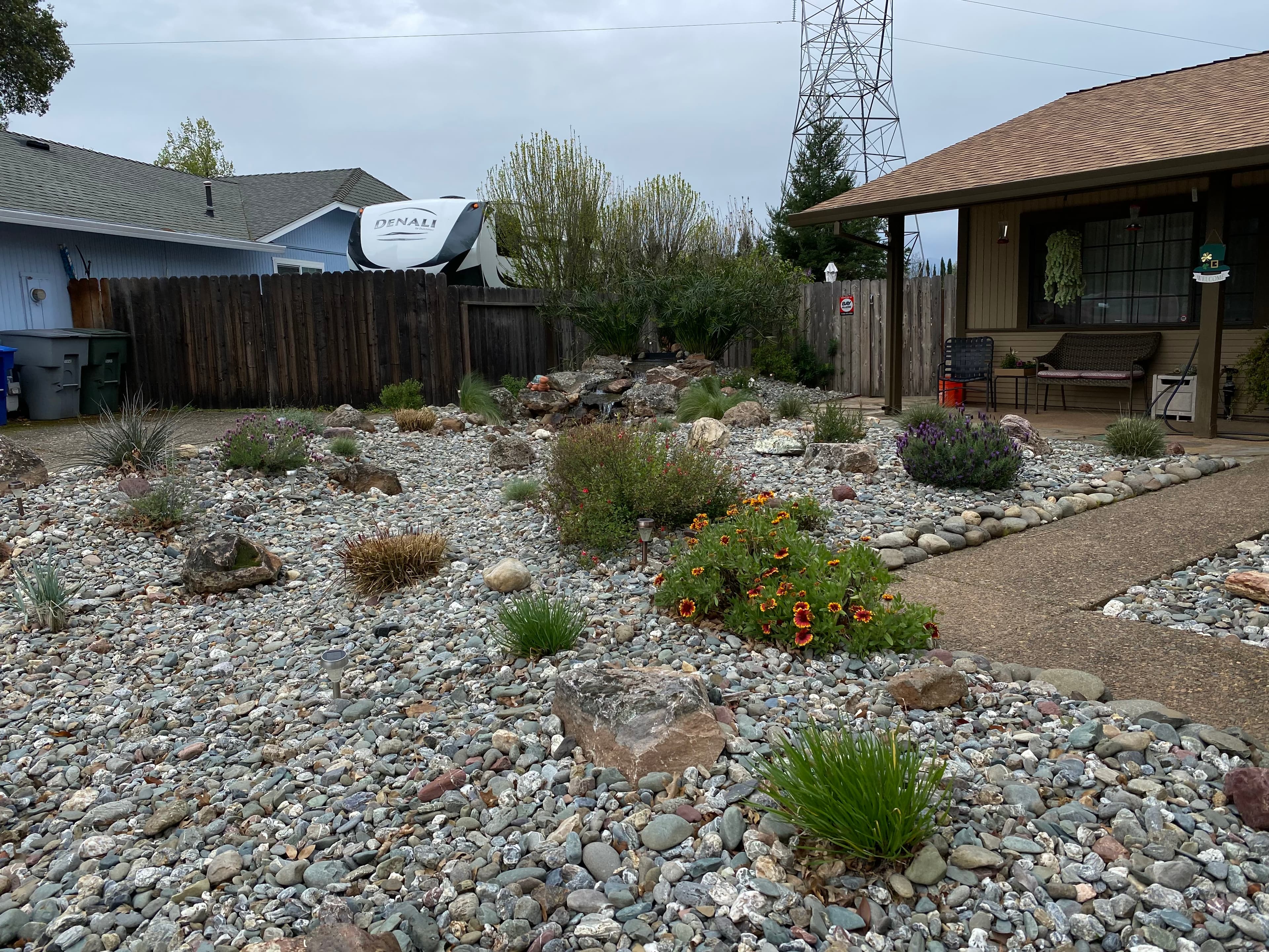 Xeriscaped front yard with river rocks, flowering shrubs, and a concrete walkway to a house.