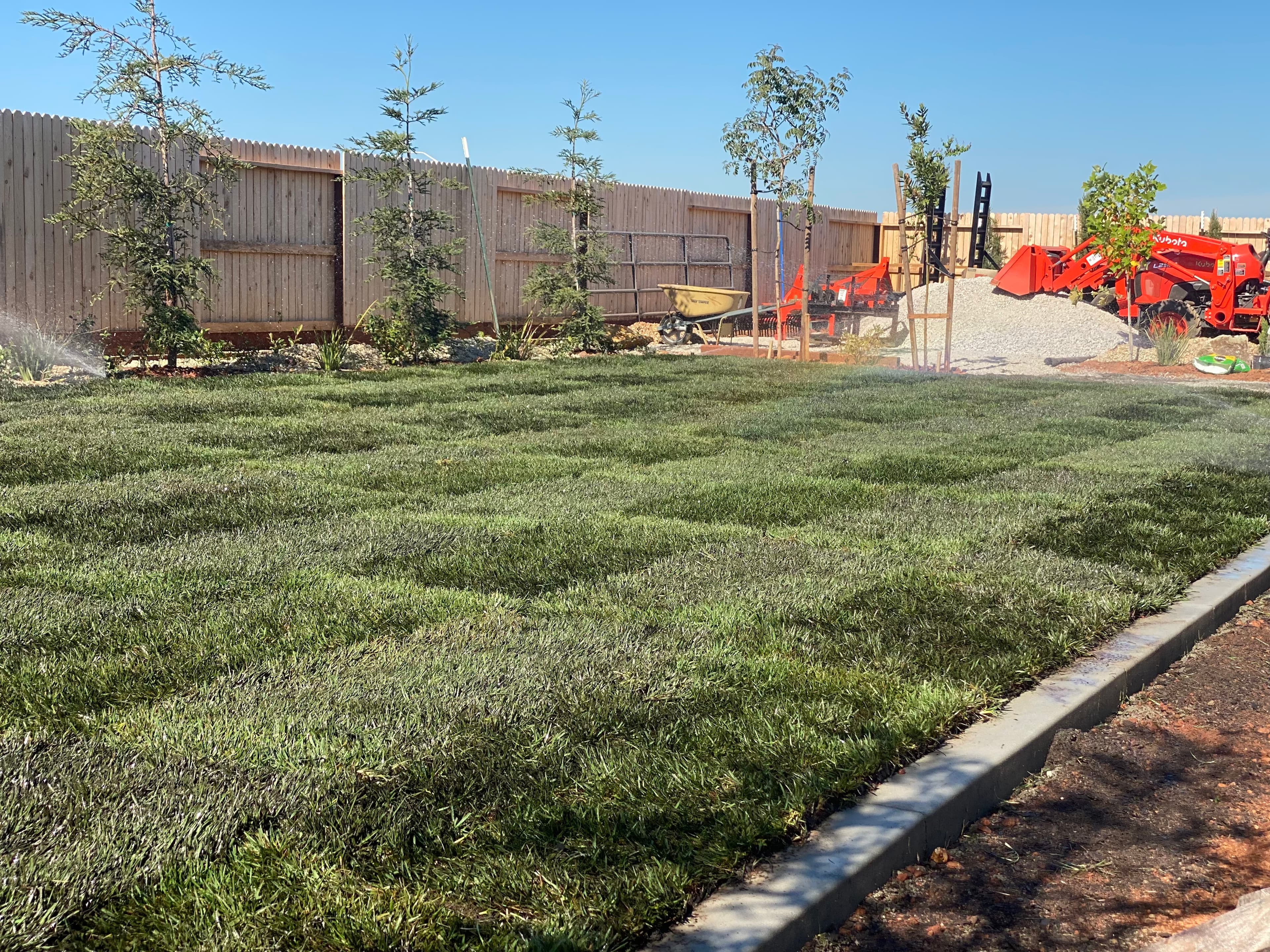 Sprinklers watering a newly laid green lawn in a backyard with a wooden fence.
