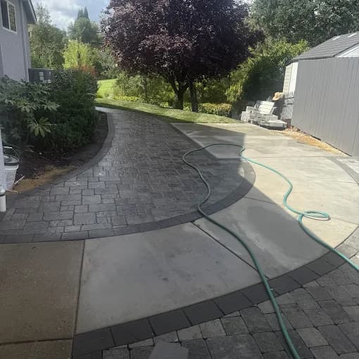 Curved gray stone paver walkway bordering a concrete patio in a lush backyard setting.