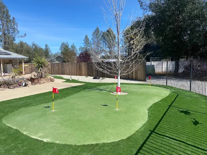 Backyard artificial turf putting green featuring numbered red flags and a central leafless tree.